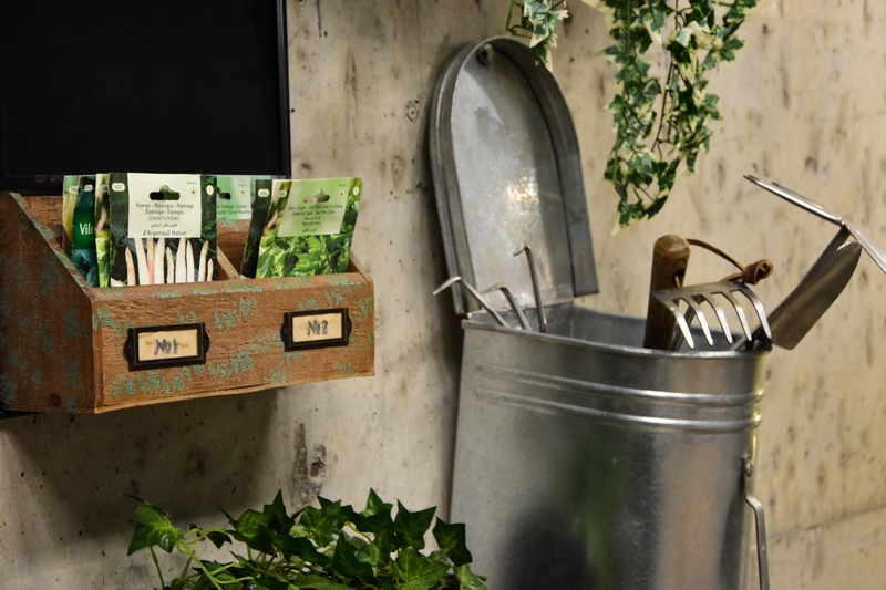 Kitchen Yard on Saturday Night